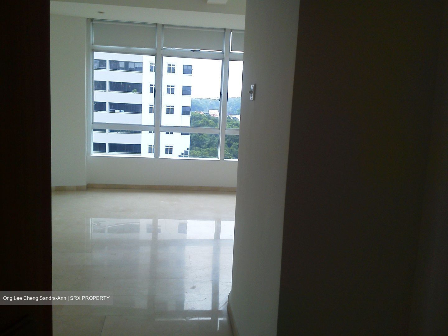 Balmoral Place (D10), Apartment #613933741